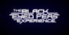 Los Black Eyed peas tendrn su propio videojuego